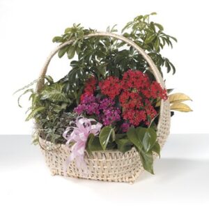 Flower Basket Garden